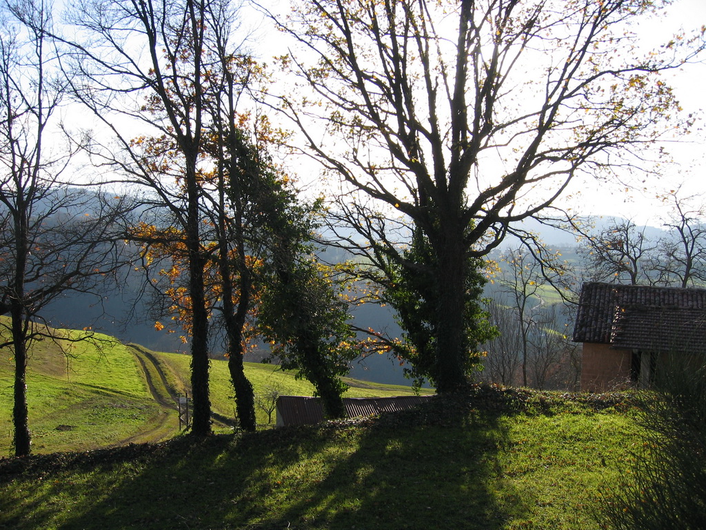 Hills in autumn